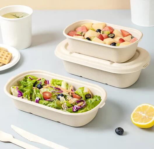 compostable bagasse plates