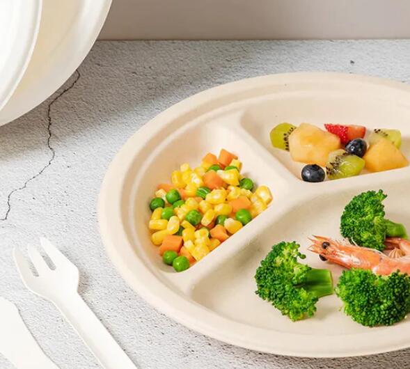 bagasse disposable tableware