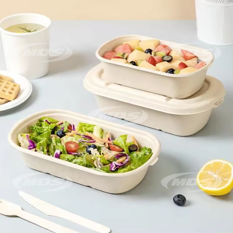 Biodegradable 8 inch 9 inch Bagasse Lunch Box Container Packaging Takeaway Paper Pulp Lunch Box