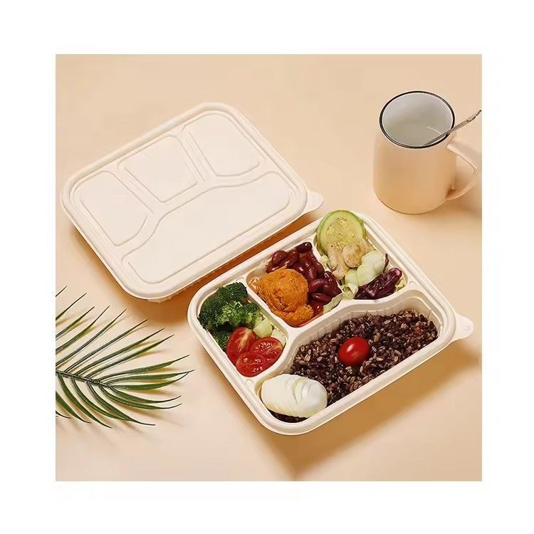 4 compartment disposable lunch box biodegradable cornstarch food container microwavable take away food packaging box