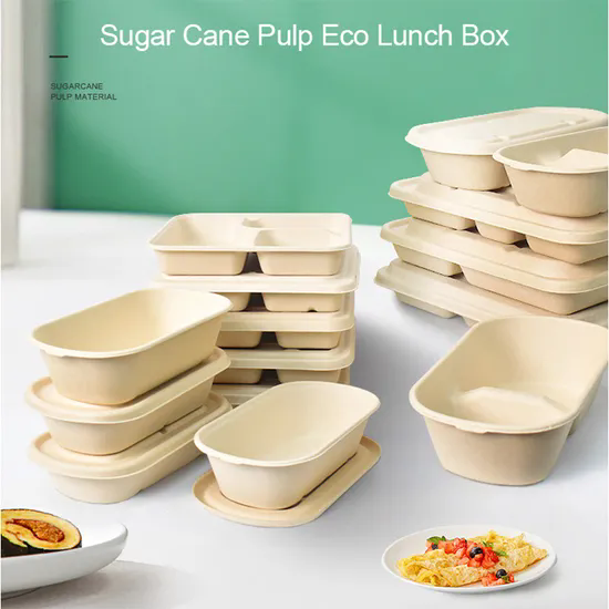 Adult Bento Box Environmentally Friendly Paper Pulp Food Containers Biodegradable Lunch Box