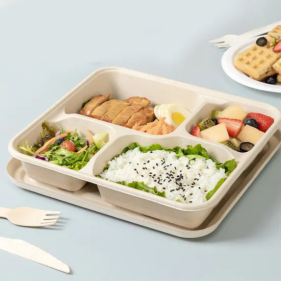 Adult Bento Box Environmentally Friendly Paper Pulp Food Containers Biodegradable Lunch Box