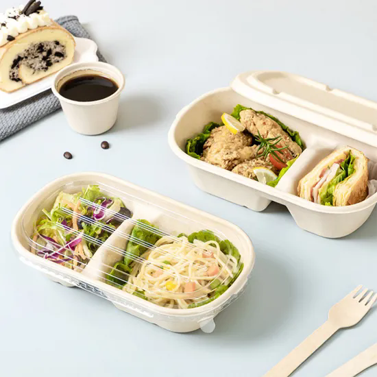 Biodegradable 8inch 9inch Bagasse Food Container Packaging Takeaway Paper Pulp Lunch Box