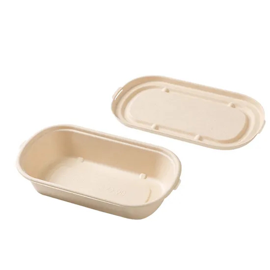 Biodegradable 8inch 9inch Bagasse Food Container Packaging Takeaway Paper Pulp Lunch Box