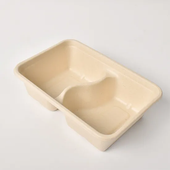 Salad Packaging Box Biodegradable Bento Takeout Sugarcane Bagasse Pulp Lunch Box with Lid