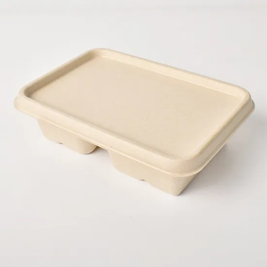 Salad Packaging Box Biodegradable Bento Takeout Sugarcane Bagasse Pulp Lunch Box with Lid