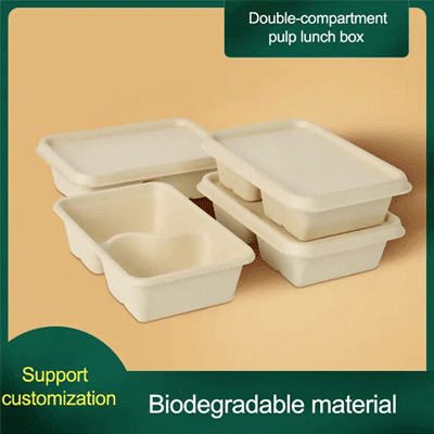 Salad Packaging Box Biodegradable Bento Takeout Sugarcane Bagasse Pulp Lunch Box with Lid