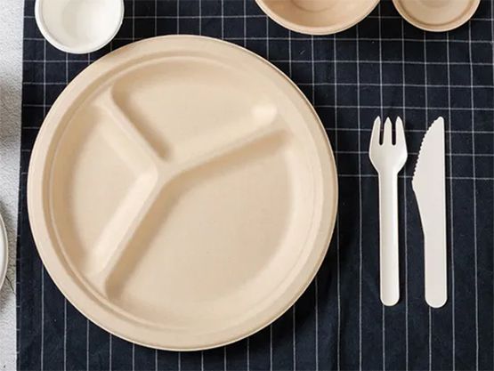 Why Choose Sugarcane Bagasse Plates Over Paper and Plastic?