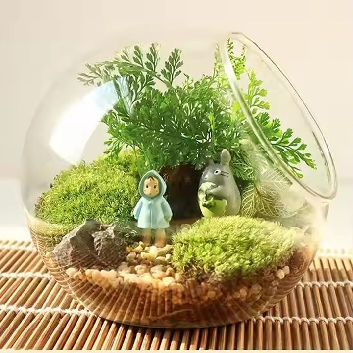 Glass vase Tabletop Air Plant Display Globe Wholesale glass hanging terrarium for Home Decoration