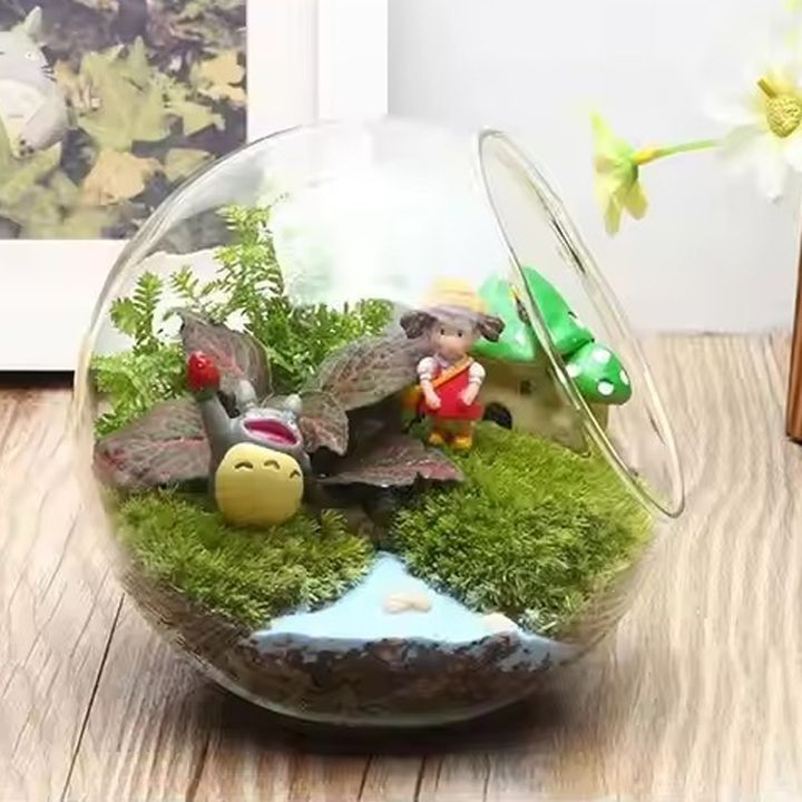 Glass vase Tabletop Air Plant Display Globe Wholesale glass hanging terrarium for Home Decoration