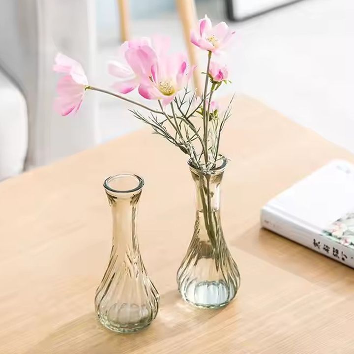 European style living room flower arrangement simple water grown glass vase