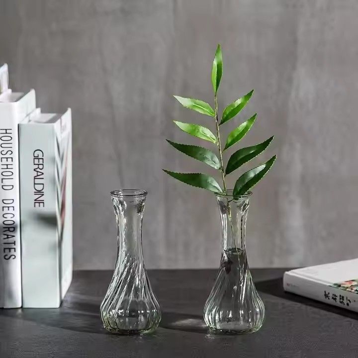 European style living room flower arrangement simple water grown glass vase