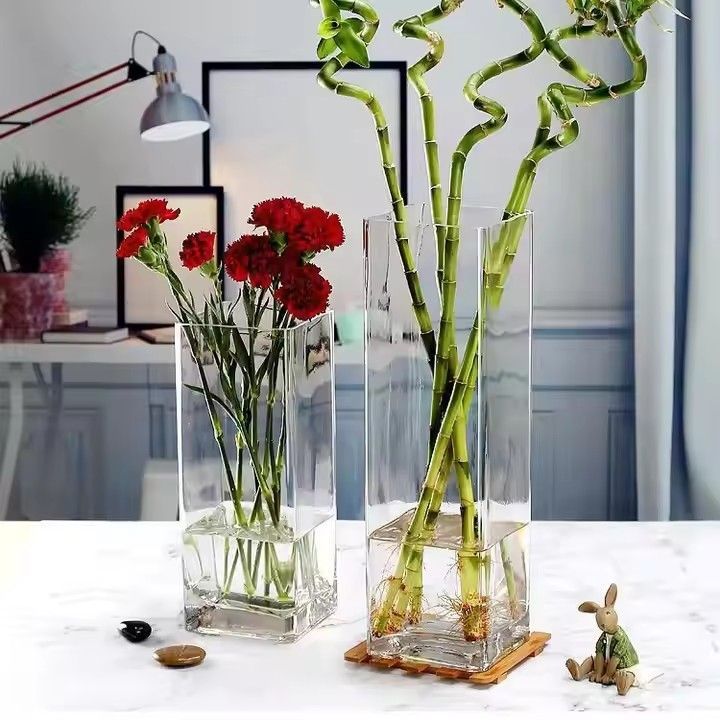 Hand Blown Square Shape Clear Glass Cube Air Plant Terrarium Vase for Home Decoration