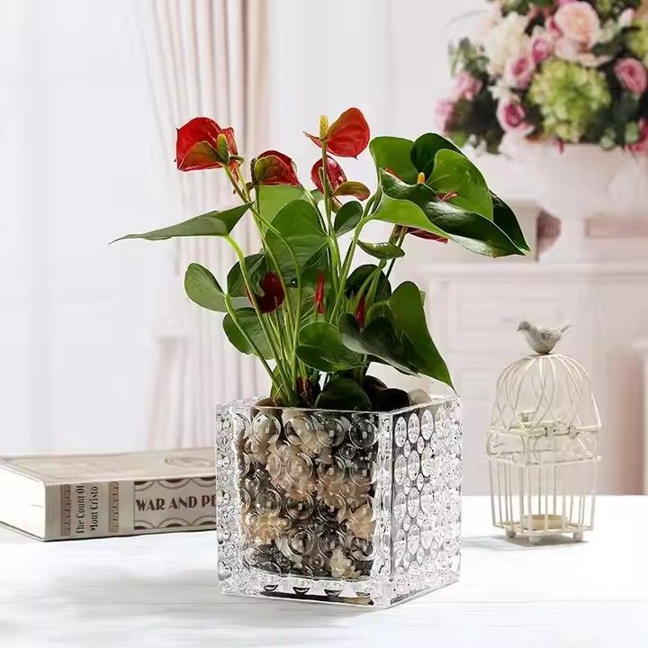 2022 Manufacturers wholesale thickened square glass vase decoration transparent vase household decoration soft decoration