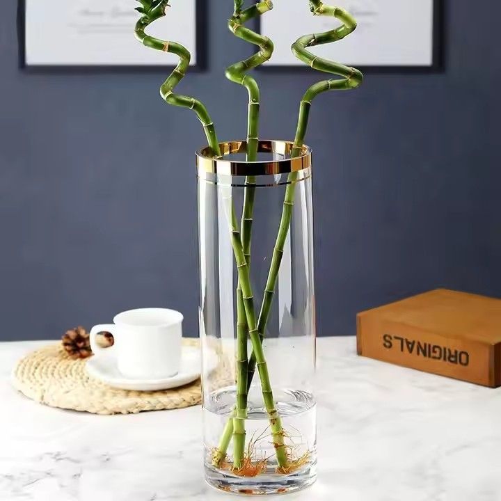 Home decor clear glass vase for flowers with gold rim