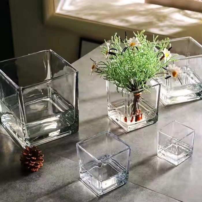 Wholesale 6inch clear cube square glass vase for sale