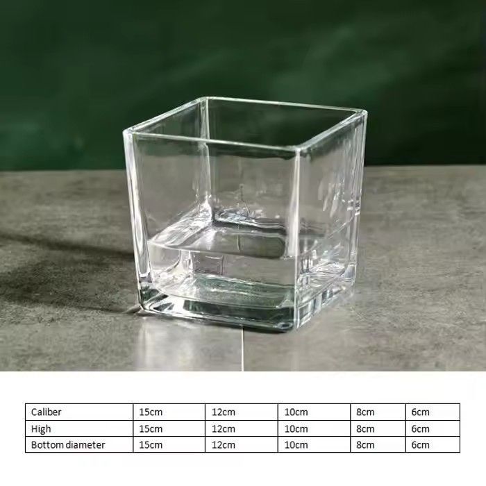 Wholesale 6inch clear cube square glass vase for sale