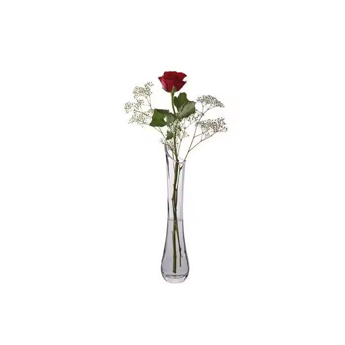 Popular design long narrow neck glass vase for flowers