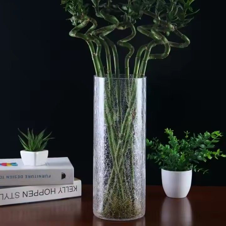 High quality transparent cracked glass vase with lights