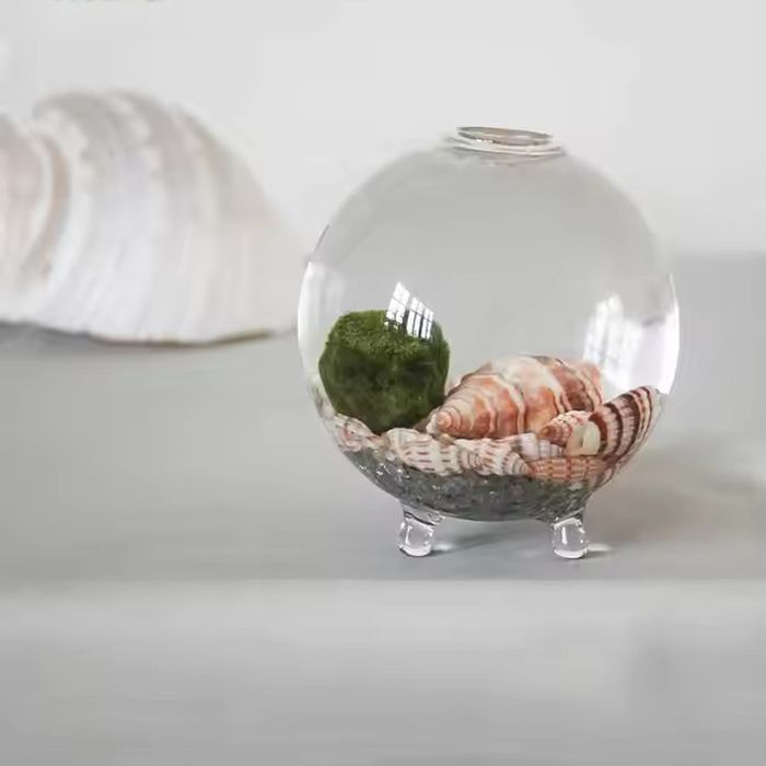 Handblown clear design glass vase mini terrarium wholesale