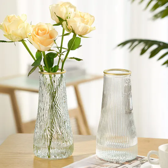 Simple Creative Glass Vase Transparent Water Living Room Home Flower Arrangement Decoration