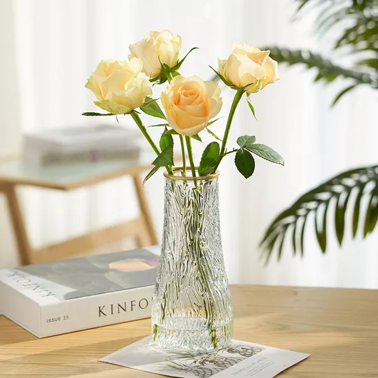 Simple Creative Glass Vase Transparent Water Living Room Home Flower Arrangement Decoration