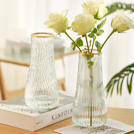 Simple Creative Glass Vase Transparent Water Living Room Home Flower Arrangement Decoration