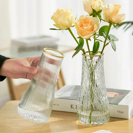 Simple Creative Glass Vase Transparent Water Living Room Home Flower Arrangement Decoration