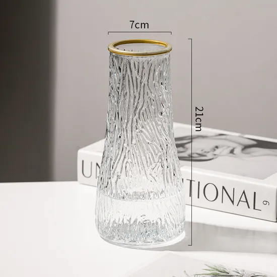 Simple Creative Glass Vase Transparent Water Living Room Home Flower Arrangement Decoration